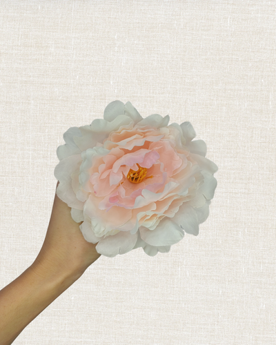 Peonia pequeña (Más colores)