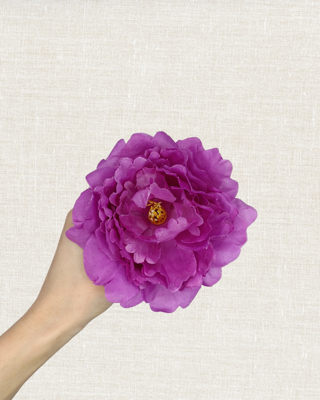 Peonia pequeña (Más colores)