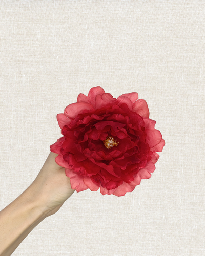 Peonia pequeña (Más colores)